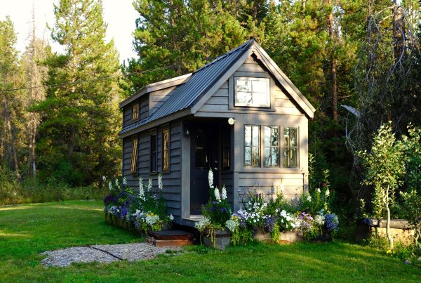 Tiny house with garden and forest backdrop